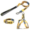 Fashion Leash Durable Lettered Gold Chain Collars For Dogs Pet Nylon Long Rope fit For Pitbull Puppy Dog Outdoor Walking - AliExpress 15 - Image 2