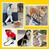 Fashion Leash Durable Lettered Gold Chain Collars For Dogs Pet Nylon Long Rope fit For Pitbull Puppy Dog Outdoor Walking - AliExpress 15 - Image 4