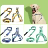 Fashion Leash Durable Lettered Gold Chain Collars For Dogs Pet Nylon Long Rope fit For Pitbull Puppy Dog Outdoor Walking - AliExpress 15 - Image 6