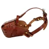 Real Leather Dog Muzzle Anti Biting Dogs Traning Muzzle No Bite Anti Bark Pet Mask For Medium Large Dog Pitbull Labrador - AliExpress 15 - Image 2