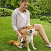 Retractable Dog Lead LED Leashes For Dogs 10ft Battery Operated High-Strength Nylon Rope Extendable Dog Leashes With Anti-Slip - AliExpress 15 - Image 2