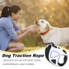 Retractable Dog Lead LED Leashes For Dogs 10ft Battery Operated High-Strength Nylon Rope Extendable Dog Leashes With Anti-Slip - AliExpress 15 - Image 3
