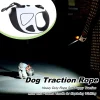 Retractable Dog Lead LED Leashes For Dogs 10ft Battery Operated High-Strength Nylon Rope Extendable Dog Leashes With Anti-Slip - AliExpress 15 - Image 4