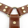 Soft Leather Dog Harness Brown Genuine Leather Medium Large Dog Harnesses Adjustable for Pitbull Alaskan Walking Training - AliExpress 15 - Image 2