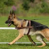Soft Leather Dog Harness Brown Genuine Leather Medium Large Dog Harnesses Adjustable for Pitbull Alaskan Walking Training - AliExpress 15 - Image 4