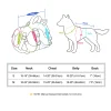 Waterproof Dog Harness Breathable Mesh Padded Reflective Nylon Dogs Vest Small Medium Dog Halter Harnesses For Pitbull Hiking - AliExpress 15 - Image 6