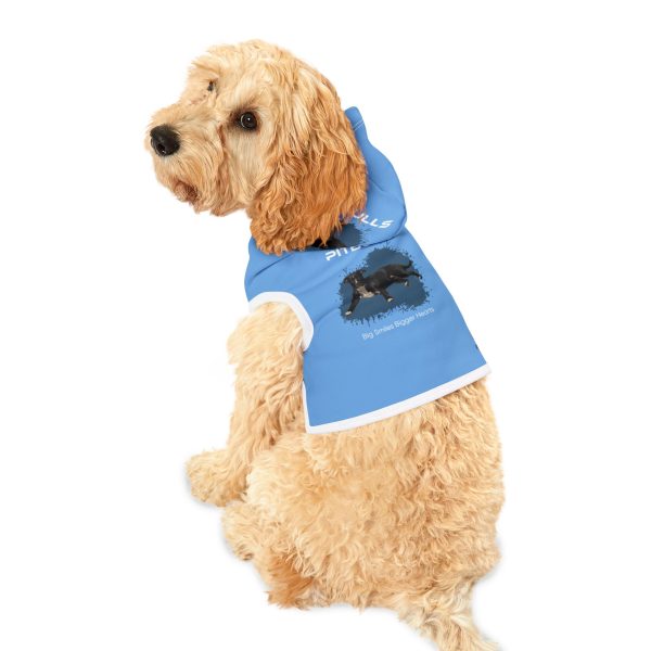 Pet Hoodie