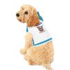 Pet Hoodie