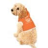 Pet Hoodie
