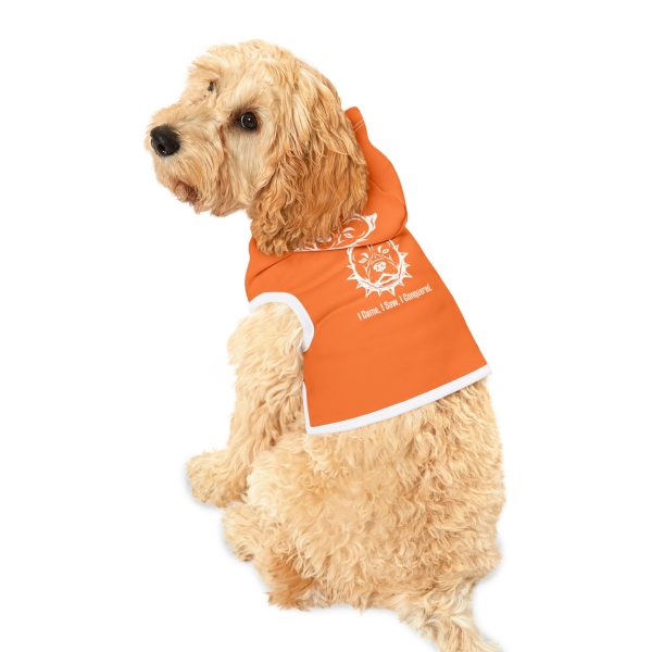 Pet Hoodie