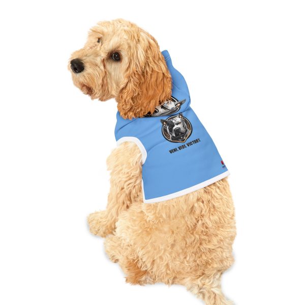 Pet Hoodie