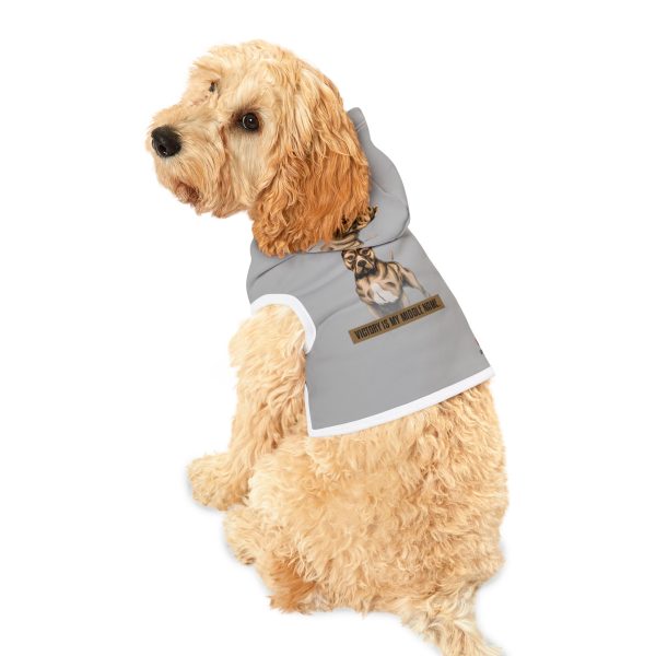 Pet Hoodie