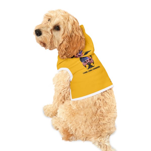 Pet Hoodie