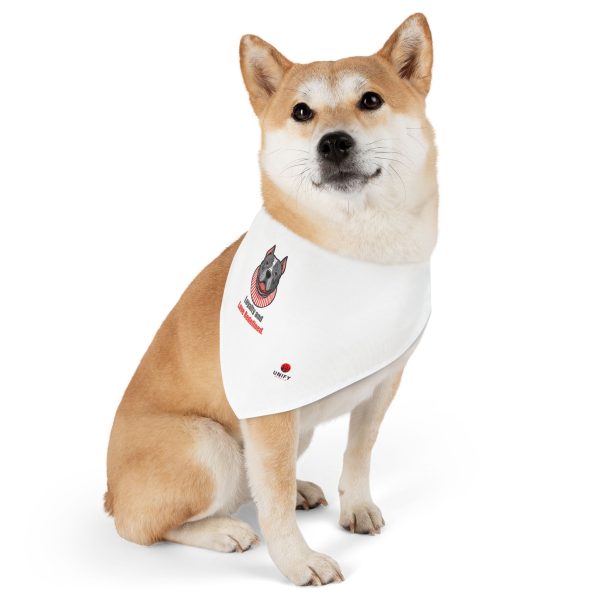 Pet Bandana Collar