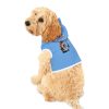 Pet Hoodie