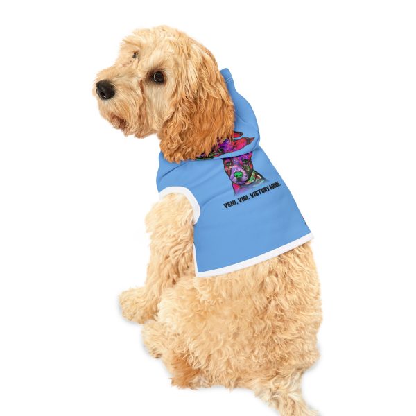 Pet Hoodie
