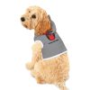 Pet Hoodie