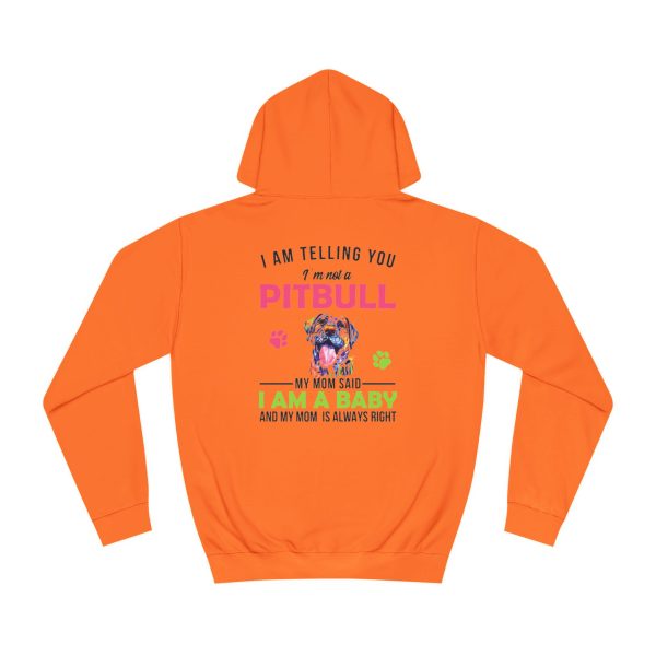 Unisex College Hoodie