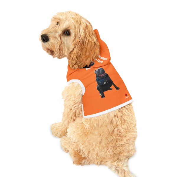 Pet Hoodie