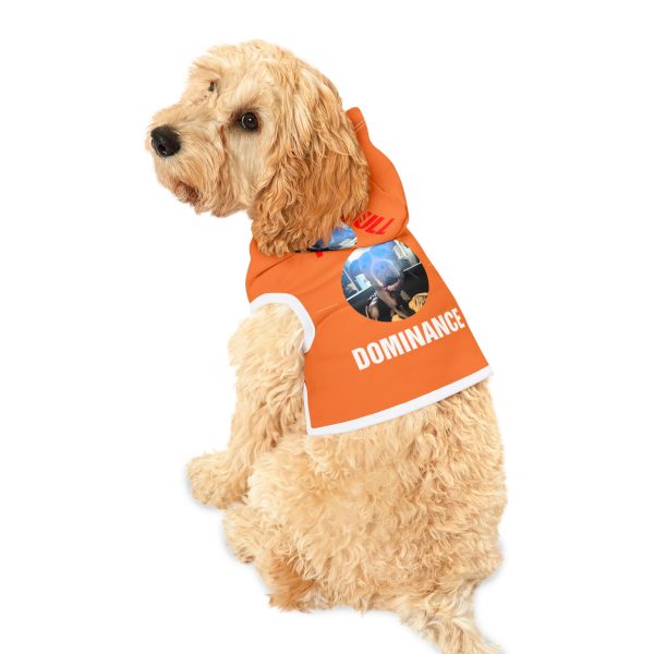 Pet Hoodie