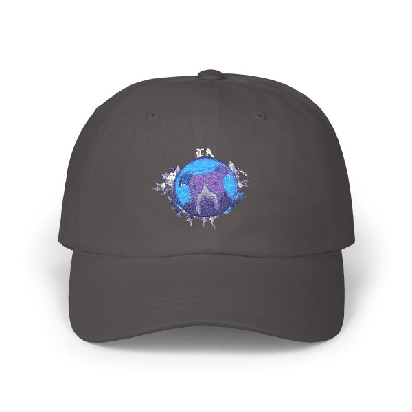 Unisex Distressed Cap