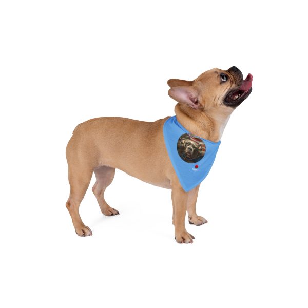 Pet Bandana Collar
