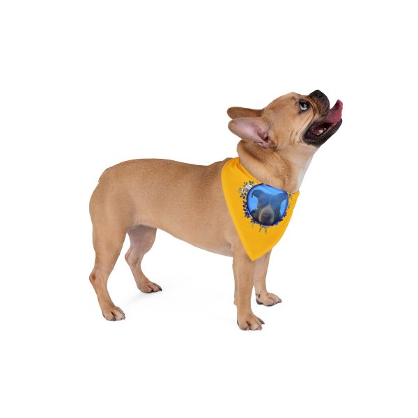 Pet Bandana Collar