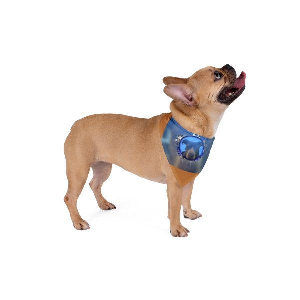 Pet Bandana Collar