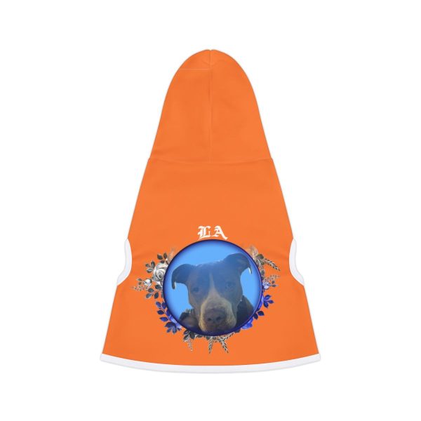 Pet Hoodie