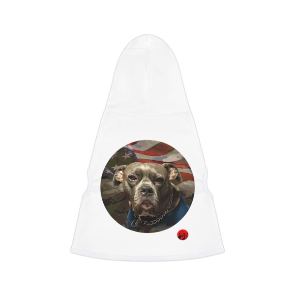 Pet Hoodie